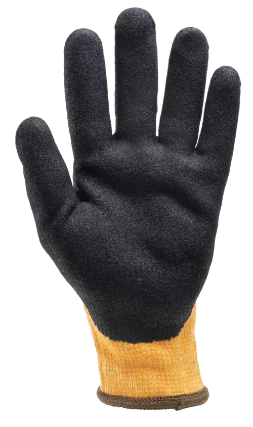 Première photo du produit