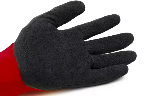 Première photo du produit