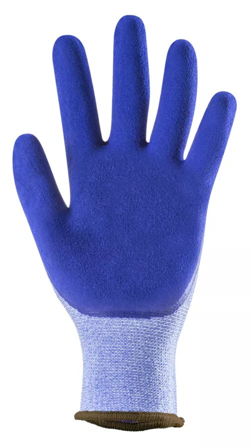 Première photo du produit